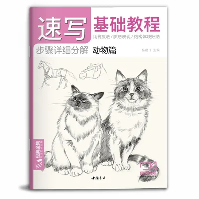 기본 스케치 튜토리얼 도서 식물 동물 풍경 그림 얼굴 교과서 제로베이스 자율 학습 기술 디테일