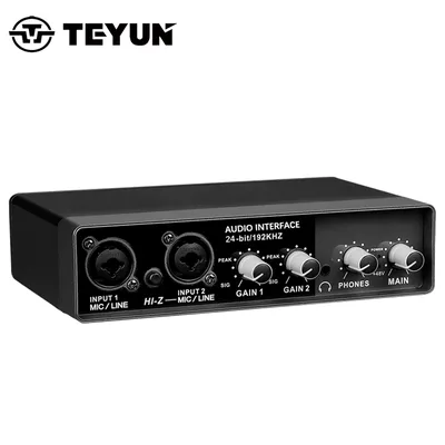 TEYUN Q-24 Q-22 Q-12 전문 사운드 카드 오디오 믹서 채널 모니터링 일렉트릭 기타 스튜디오 노래 용 라이브 녹음