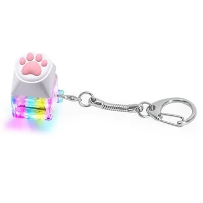 Catpaw 키보드 리모콘 키 체인 Fidget 장난감 LED 빛 감각 재미 손가락 끝 액세서리 가방 펜던트