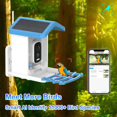 5MP iCsee APP 태양열 구동 AI 조류 피더 스마트 무선 WIFI PTZ IP 돔 카메라 시계 조류 카메라 홈 보안 CCTV 모니터